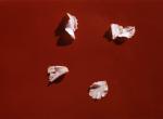 untitled (red background)