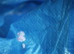 untitled (on a blue sheet)