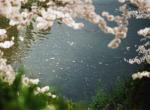 untitled (water)