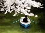 untitled (boat)