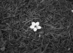 untitled (solo)