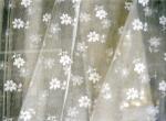 Untitled (net curtain)