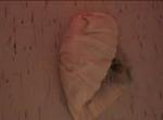 Undress