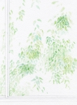 green window